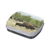 Wyoming Bison Nature Animal Photography Candy Tin (Side)