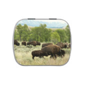 Wyoming Bison Nature Animal Photography Candy Tin (Top)