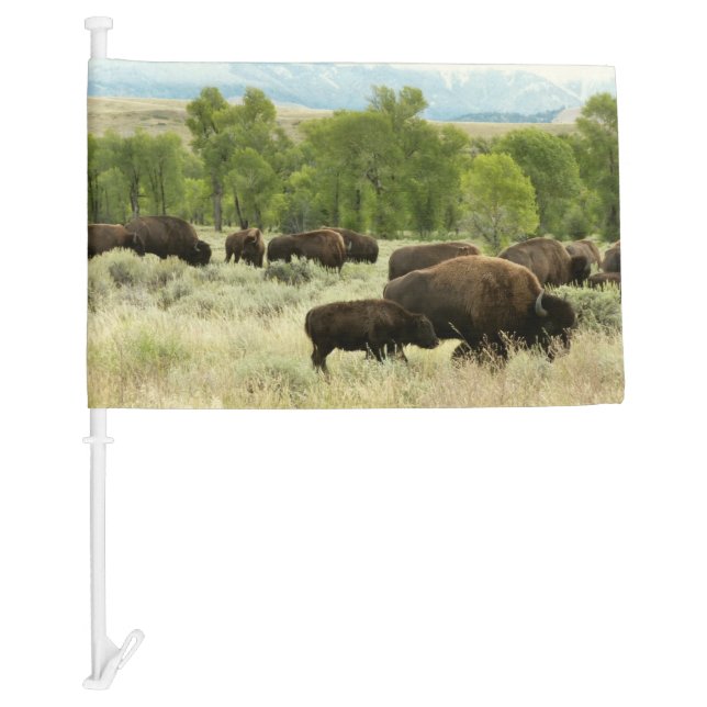 Wyoming Bison Nature Animal Photography Car Flag (Front)