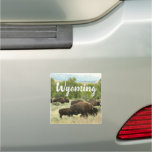 Wyoming Bison Nature Animal Photography Car Magnet