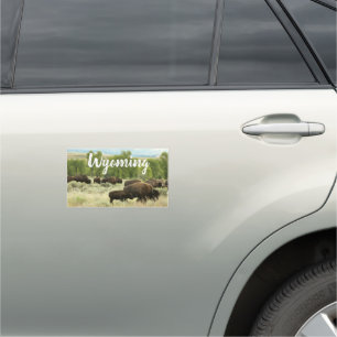 Wyoming Bison Nature Animal Photography Car Magnet