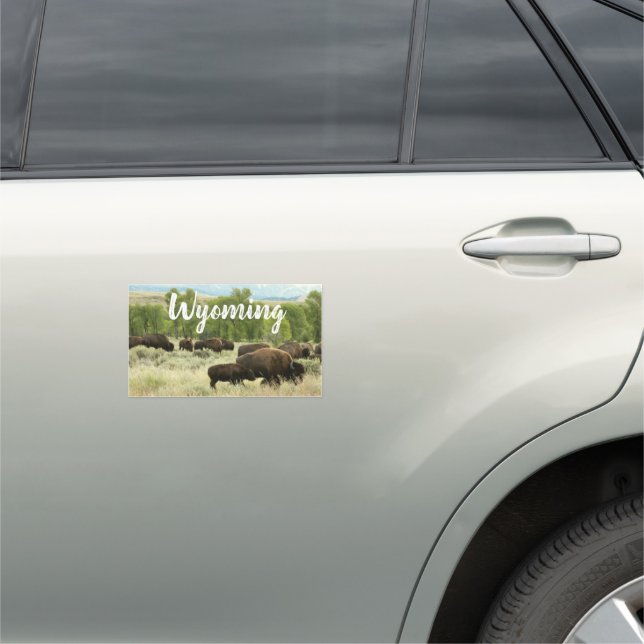 Wyoming Bison Nature Animal Photography Car Magnet (In Situ)