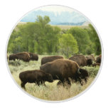 Wyoming Bison Nature Animal Photography Ceramic Knob