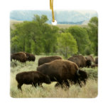 Wyoming Bison Nature Animal Photography Ceramic Ornament