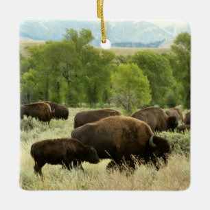 Wyoming Bison Nature Animal Photography Ceramic Ornament