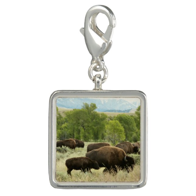 Wyoming Bison Nature Animal Photography Charm (Front)
