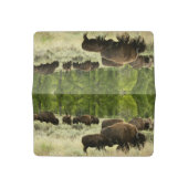 Wyoming Bison Nature Animal Photography Checkbook Cover (Open)