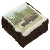 Wyoming Bison Nature Animal Photography Chocolate Brownie (Angled)