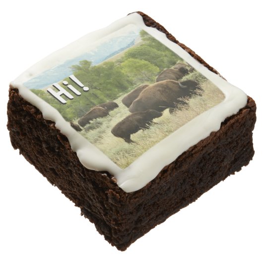 Wyoming Bison Nature Animal Photography Chocolate Brownie (Angled)