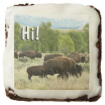 Wyoming Bison Nature Animal Photography Chocolate Brownie
