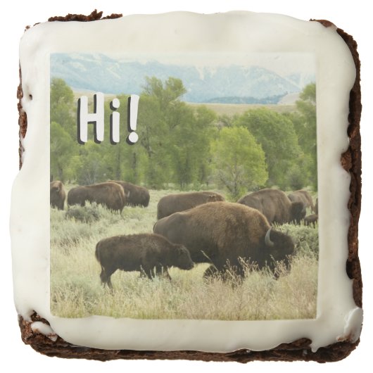 Wyoming Bison Nature Animal Photography Chocolate Brownie (Front)
