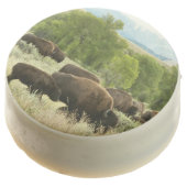 Wyoming Bison Nature Animal Photography Chocolate Covered Oreo (Angled)