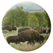 Wyoming Bison Nature Animal Photography Chocolate Covered Oreo (Front)