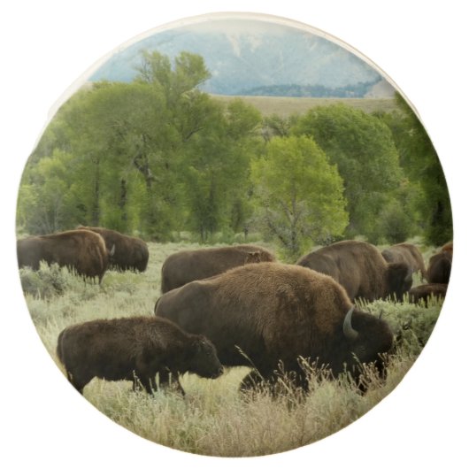 Wyoming Bison Nature Animal Photography Chocolate Covered Oreo (Front)