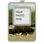Wyoming Bison Nature Animal Photography Christmas Ornament