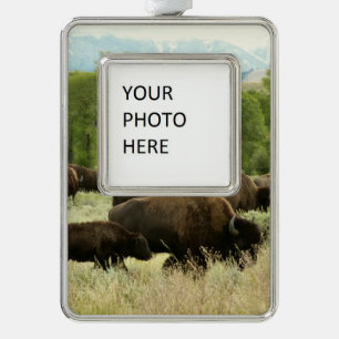 Wyoming Bison Nature Animal Photography Christmas Ornament