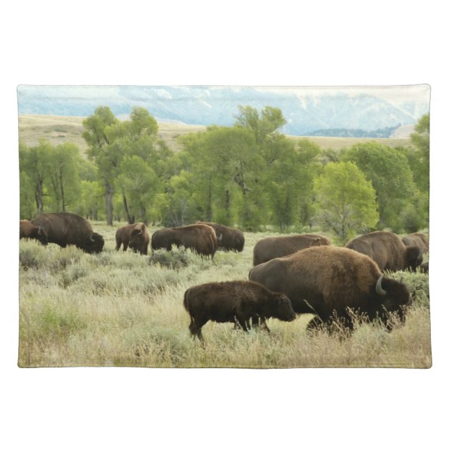 Wyoming Bison Nature Animal Photography Cloth Placemat (Front)