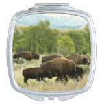 Wyoming Bison Nature Animal Photography Compact Mirror