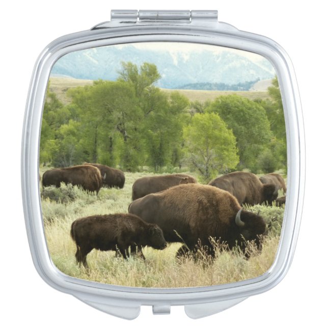 Wyoming Bison Nature Animal Photography Compact Mirror (Front)