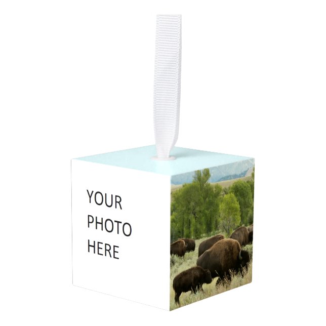 Wyoming Bison Nature Animal Photography Cube Ornament (Front Angled)