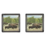 Wyoming Bison Nature Animal Photography Cufflinks