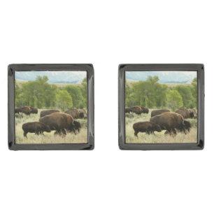 Wyoming Bison Nature Animal Photography Cufflinks