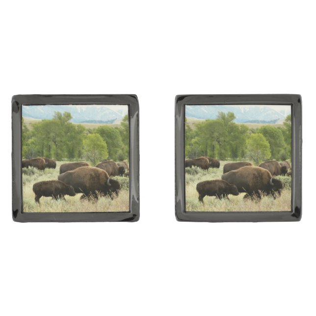Wyoming Bison Nature Animal Photography Cufflinks (Front)