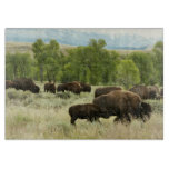 Wyoming Bison Nature Animal Photography Cutting Board