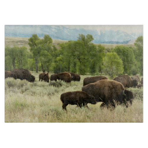 Wyoming Bison Nature Animal Photography Cutting Board