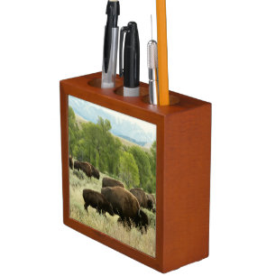 Wyoming Bison Nature Animal Photography Desk Organizer