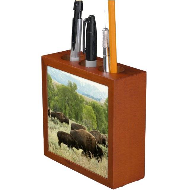 Wyoming Bison Nature Animal Photography Desk Organizer (In Situ)