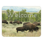 Wyoming Bison Nature Animal Photography Door Sign