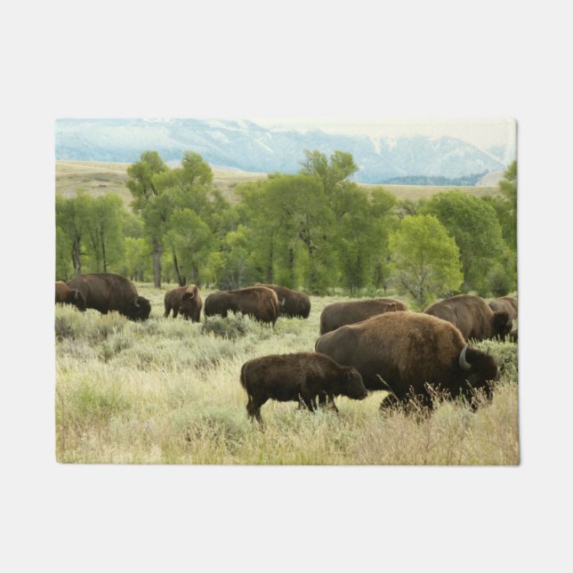 Wyoming Bison Nature Animal Photography Doormat (Front)