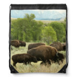 Wyoming Bison Nature Animal Photography Drawstring Bag