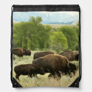 Wyoming Bison Nature Animal Photography Drawstring Bag