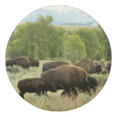 Wyoming Bison Nature Animal Photography Eraser (Back)