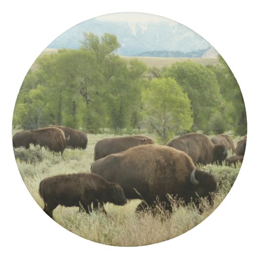 Wyoming Bison Nature Animal Photography Eraser (Back)