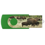 Wyoming Bison Nature Animal Photography Flash Drive