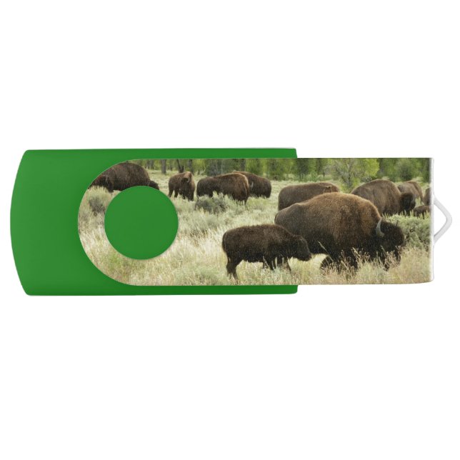 Wyoming Bison Nature Animal Photography Flash Drive (Front)