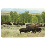 Wyoming Bison Nature Animal Photography Floor Mat