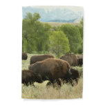 Wyoming Bison Nature Animal Photography Garden Flag