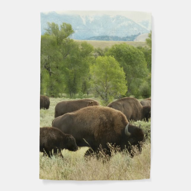 Wyoming Bison Nature Animal Photography Garden Flag (Front)
