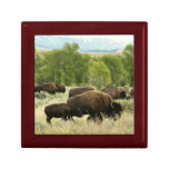 Wyoming Bison Nature Animal Photography Gift Box