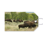 Wyoming Bison Nature Animal Photography Gift Tags