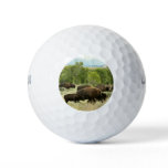 Wyoming Bison Nature Animal Photography Golf Balls