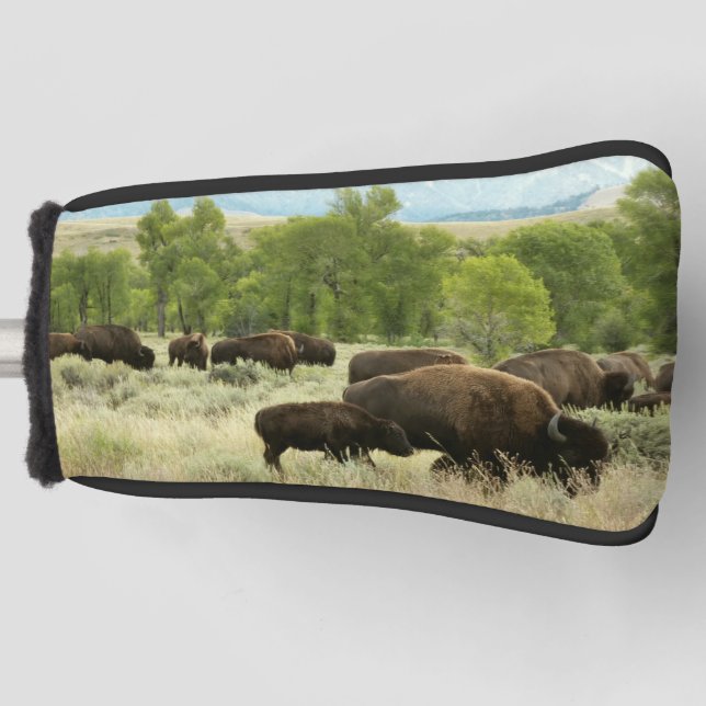 Wyoming Bison Nature Animal Photography Golf Head Cover (Front)