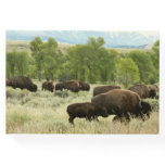 Wyoming Bison Nature Animal Photography Guest Book