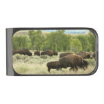 Wyoming Bison Nature Animal Photography Gunmetal Finish Money Clip