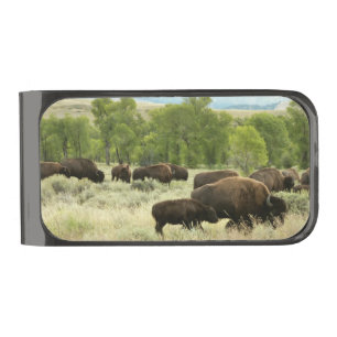 Wyoming Bison Nature Animal Photography Gunmetal Finish Money Clip