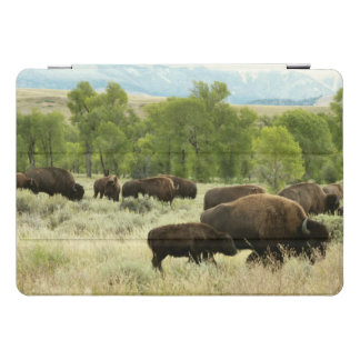 Wyoming Bison Nature Animal Photography iPad Pro Cover